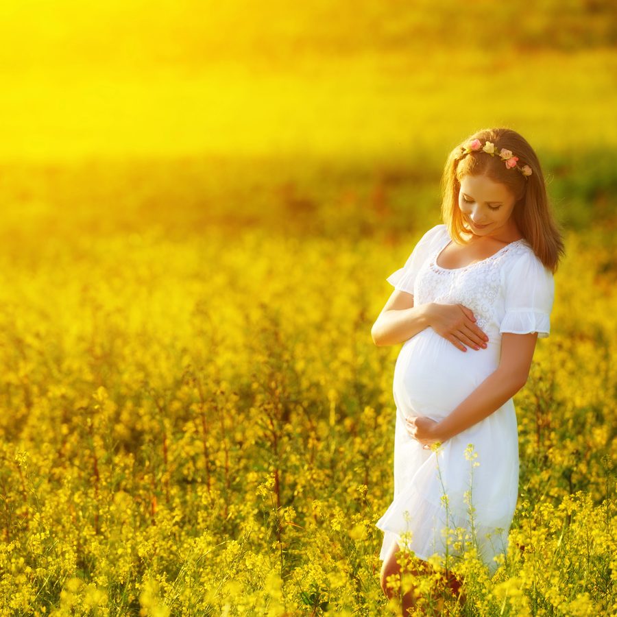 Femme enceinte sereine dans un champ de fleurs au coucher du soleil